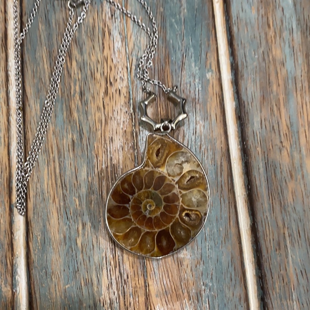 EXTINCT Ammonite Reversible Pendant/Necklace